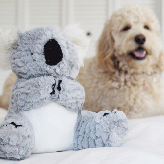 Іграшка для собак Patchwork Pet Koala (Печворк Паль Коала) 220 Запоріжжя