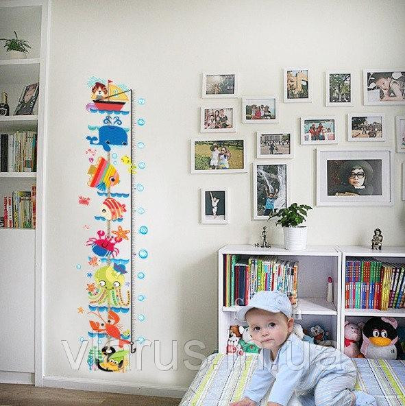 Інтер'єрна наклейка ростомір морський Київ - фото 4