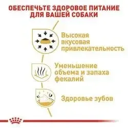 Royal Canin Chihuahua Adult (Роял Канин Чихуахуа Эдалт) сухой корм для собак породы чихуахуа от 8 месяцев 3 кг. Запорожье