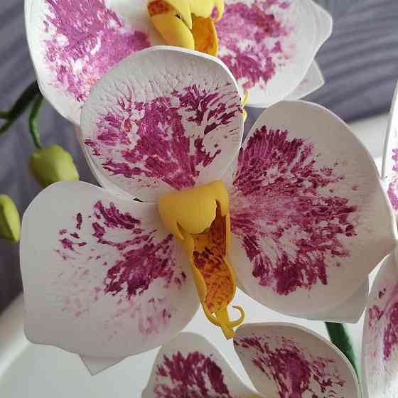 Світильник-нічник "Біло-бузкова орхідея" Дніпро