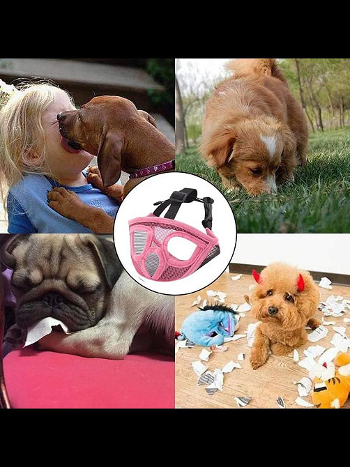 Намордник для короткомордих собак розмір М (14.5-21.5кг) Луцк - изображение 3