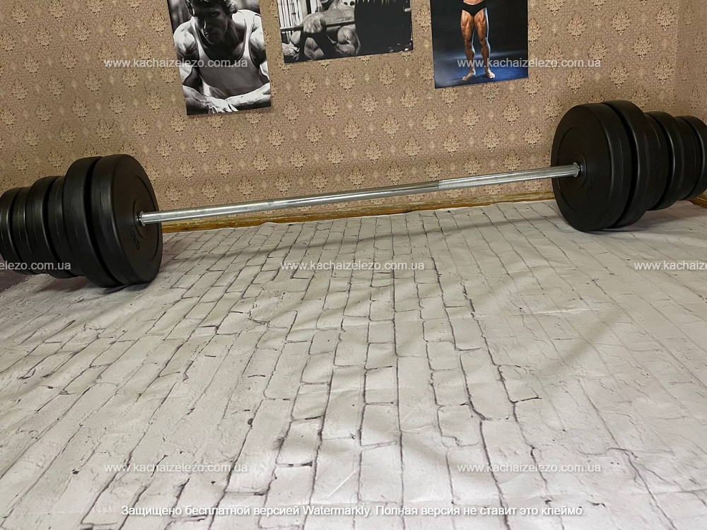 Штанга набірна на 80 кг Гантелі, гирі, штанги і диски в ударостійкому пластику Київ - фото 1