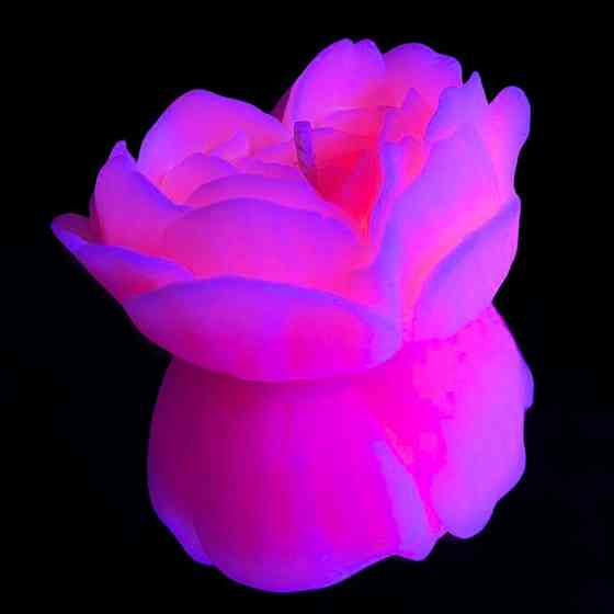 Свеча люминисцентная низкотемпературная GlowKink розовая, L Sex Aura Киев