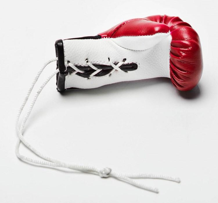 Сувенирная перчатка Leone Red Киев - изображение 3