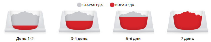 Hills SP Puppy Medium Lamb Rice (Хиллс СП Паппи Медиум Ягненок Рис) для средних щенков до 1 года и беременных 14 кг Запорожье - изображение 7