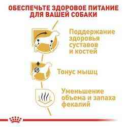 Royal Canin Dachshund Adult (Рояв Канін Даксхмунд Едалт) сухий корм для собак такса від 10 місяців 1.5 кг. Запоріжжя