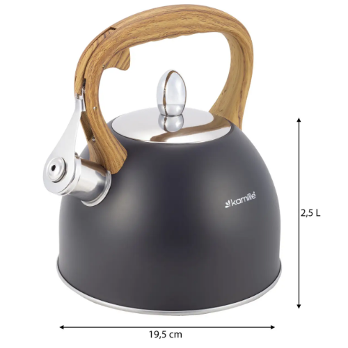 Чайник 2,5 л з нержавіючої сталі зі свистком і ручкою soft touch KAMILLE 1096 Житомир