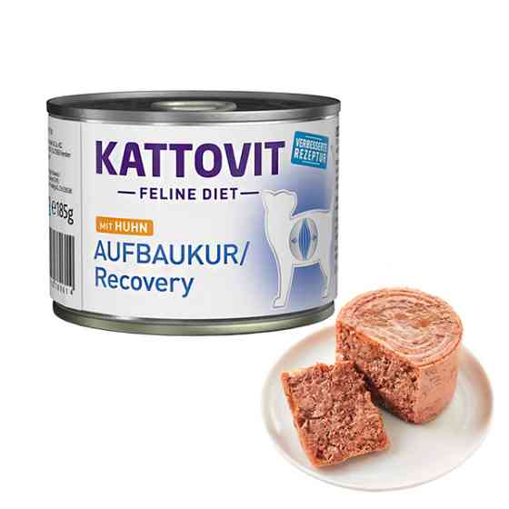 Kattovit Veterinary Recovery КАТТОВИТ РЕКАВЕРИ полнорационный беззерновой влажный лечебный корм для котов в период восстановления, банка 185г Киев
