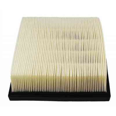 Воздушный фильтр для автомобиля Champion CAF100775P Винница