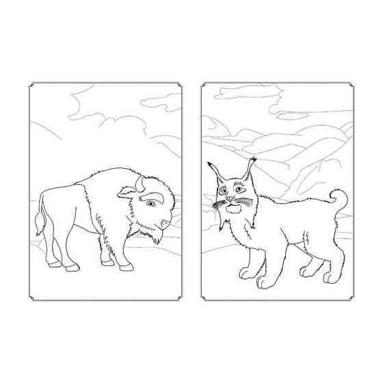 Розмальовка Магія кольору. Всесвіт Мавки Ранок 1807001 з наклейками Вінниця