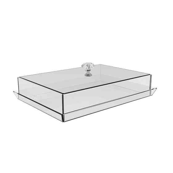 Тарелка для сыра без ножки EKOSTAR из акрила 276х196х50 Киев