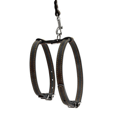 Шлея для собак Collar з повідцем для малих порід Ш 14 мм Д 122 см чорна (05471) Вінниця - фото 2