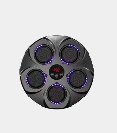 Тренажер боксерський музичний 9478 Винница