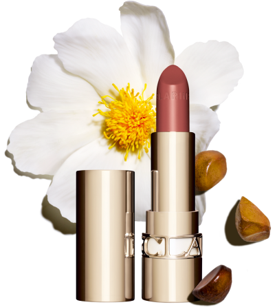 Помада для губ Clarins Joli Rouge (НОВИЙ ДИЗАЙН) 731 rose berry Слов'янськ