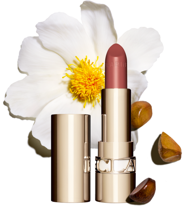 Помада для губ Clarins Joli Rouge (НОВЫЙ ДИЗАЙН) 731 rose berry Славянск - изображение 3