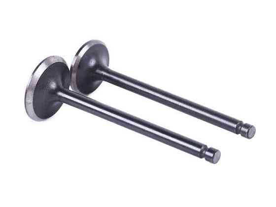 Клапани на мопед мотоцикл Альфа125СС, к-т: 2 шт. Мукачево