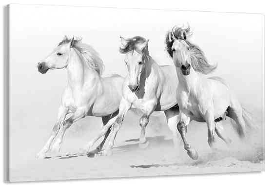 Картина полотно у вітальню / спальню  Білі Коні     MLP_397 ( 60х30см ) 90х180см Київ
