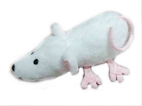 Мягкая игрушка Алина Крыса белая 28 см Киев