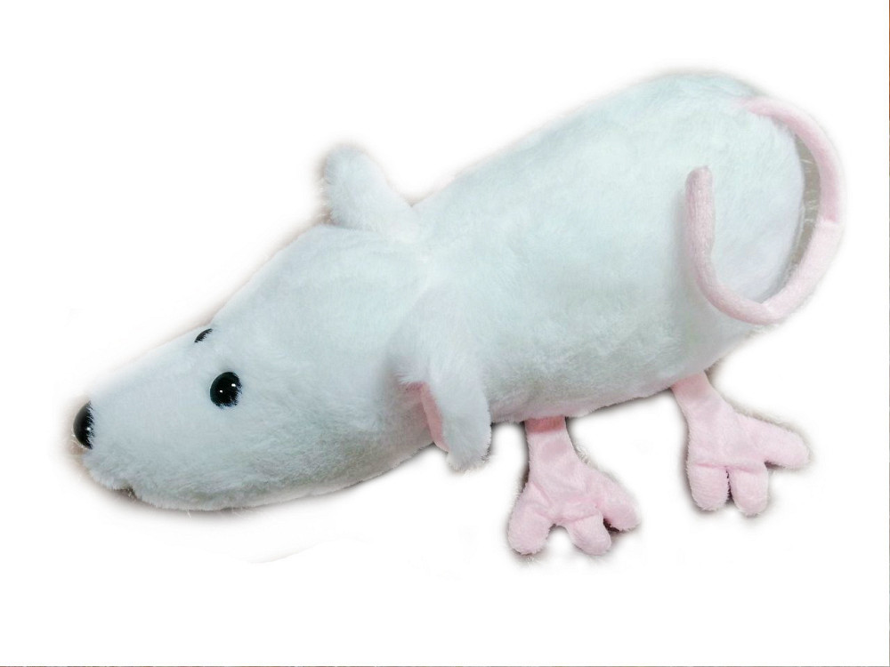 Мягкая игрушка Алина Крыса белая 28 см Киев - изображение 2