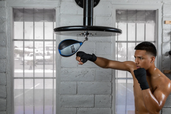 Пневмогруша боксерська TITLE Platinum Perilous Speed Bag Silver/Black (18×25,4 см.) Каменское