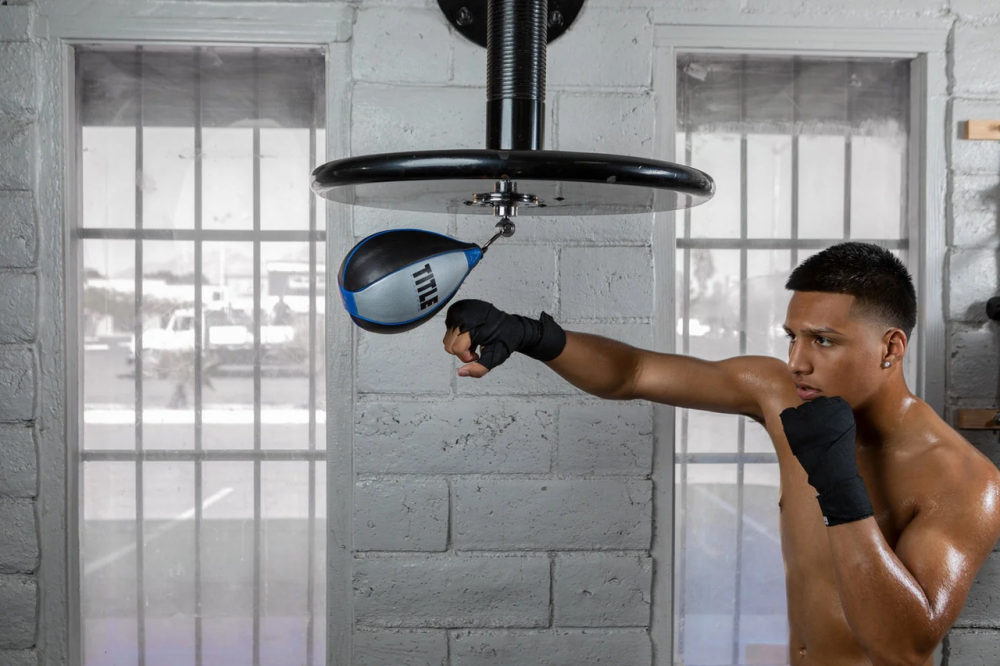 Пневмогруша боксерська TITLE Platinum Perilous Speed Bag Silver/Black (18×25,4 см.) Каменское - изображение 4