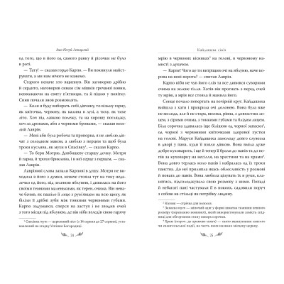 Книга Кайдашева сім'я - Іван Нечуй-Левицький Видавництво РМ (9786178248765) Винница - изображение 8