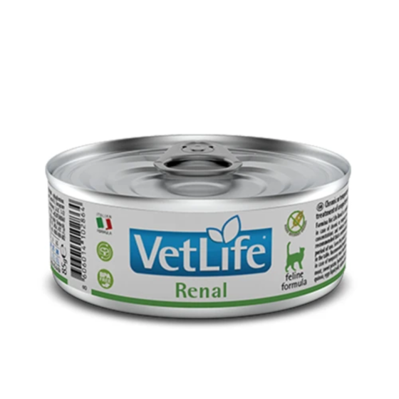 Вологий корм Farmina Vet Life Renal для котів, для підтримки функції нирок, 85 г Київ