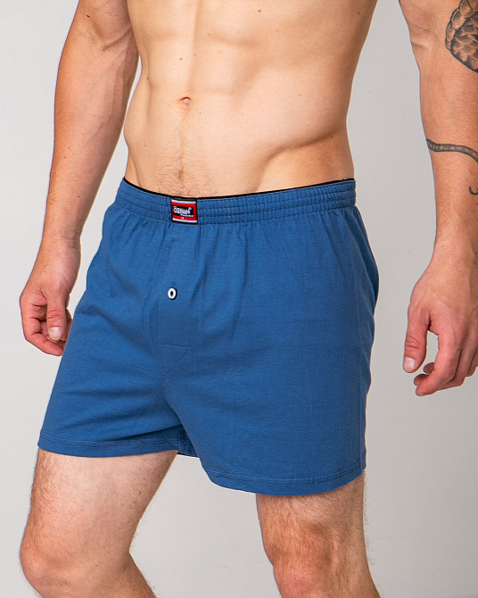 Сімейні чоловічі труси 100% бавовна Ozkan 0041-5 XXL Київ - фото 1