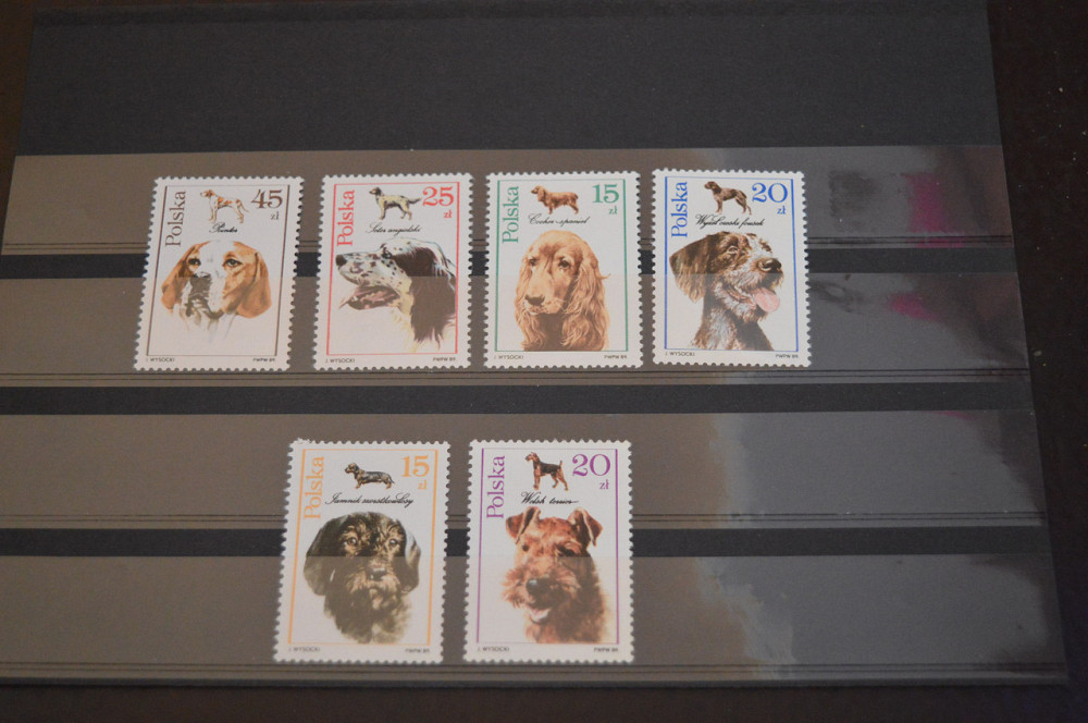 Марки. Серия. Польша (УНЦ) Полтава - изображение 1