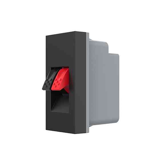 LIVOLO Hi-Fi аудіо розетка LIVOLO (Banana), чорна, для колонок і підсилювачів, модуль 0.5 поста Коломия