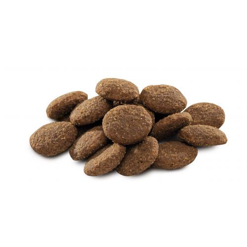 Корм сухой Brit Premium Dog Adult XL для взрослых собак гигантских пород весом 45-90 кг с курицей 3 кг Киев - изображение 2