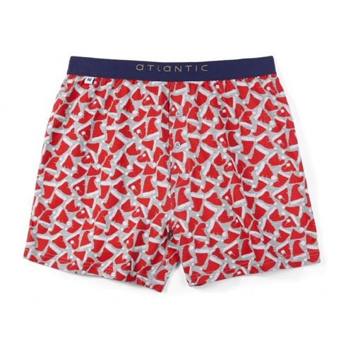 Боксерки ATLANTIC MBX-601 M, Сірий Київ - фото 1