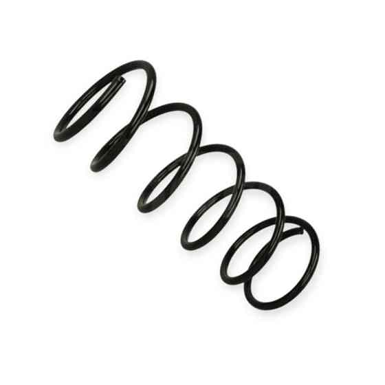 Пружина Ford Fiesta IV 1.25-1.4i (95-02) Мукачево