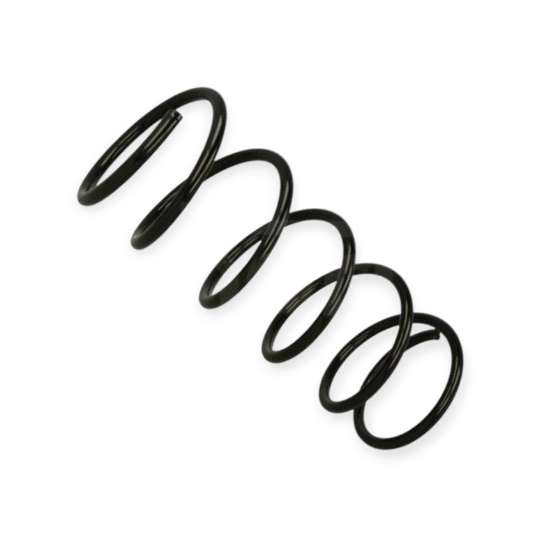 Пружина Ford Fiesta IV 1.25-1.4i (95-02) передняя Мукачево - изображение 1