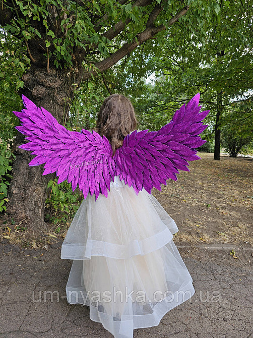 Червоні Крила великі Кривий Ріг - фото 10