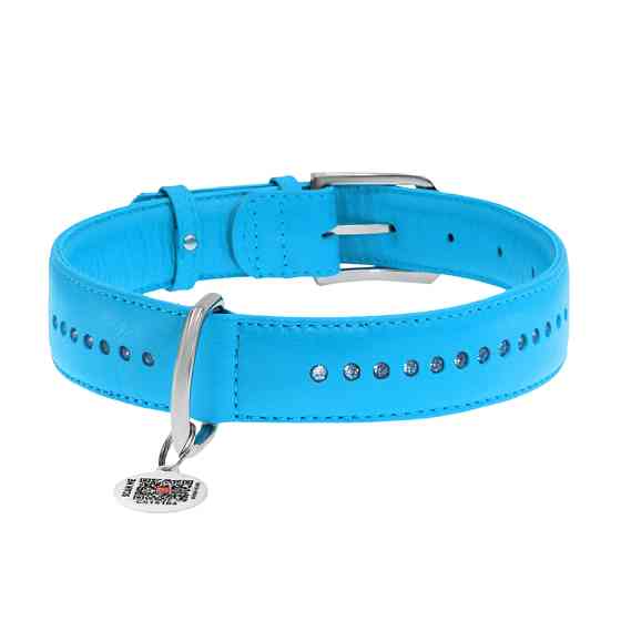 Нашийник для собак шкіряний WAUDOG Glamour з QR паспортом, подвійний зі стразами, M, Ш 20 мм, Д Коломыя