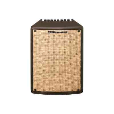 Комбоусилитель Ibanez Troubadour T80II (227262) Винница