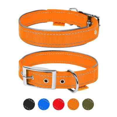 Ошейник для животных Dog Extreme двойной со светоотражающей вставкой Ш 25 мм Д 38-48 см оранжевый (67044) Винница