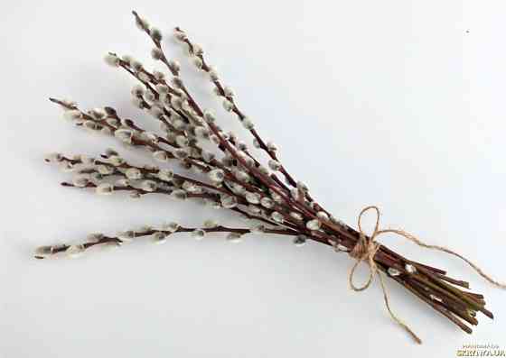 Вербовая лоза (освяченая), 100г master sem Киев