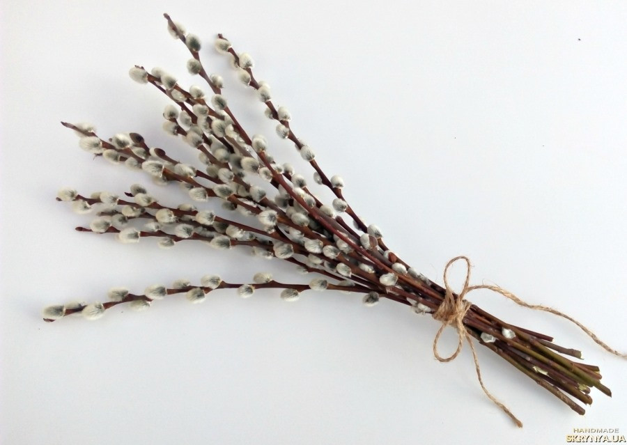 Вербовая лоза (освяченая), 100г master sem Киев - изображение 1