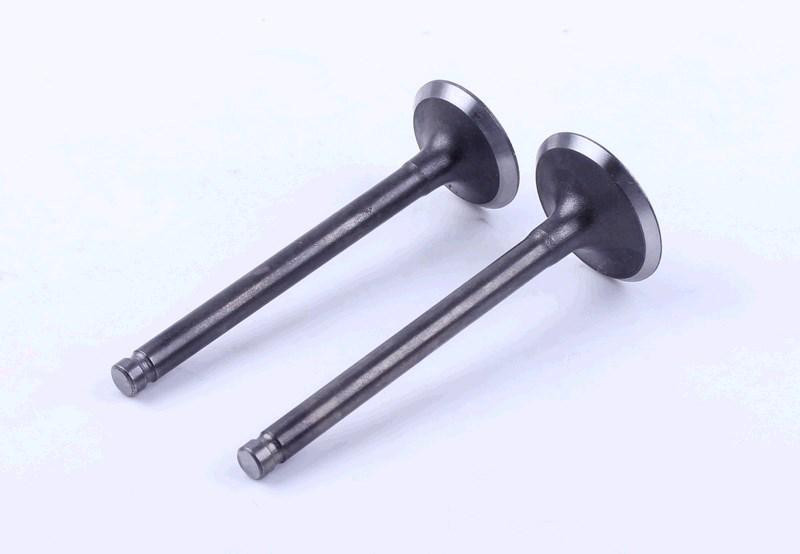 Клапани (пара, голі) Active 110 KOMATCU (mod.A) Киев - изображение 1