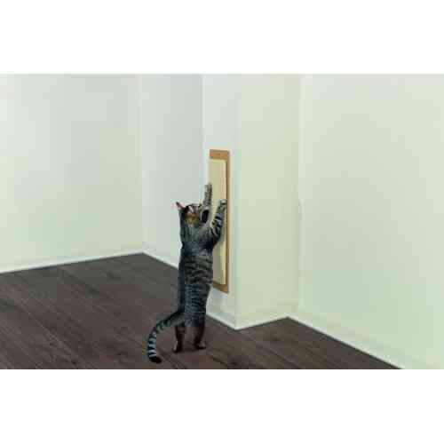 Царапка Trixie для кошек настенная сизаль/дерево бежевая 11x56 см Киев