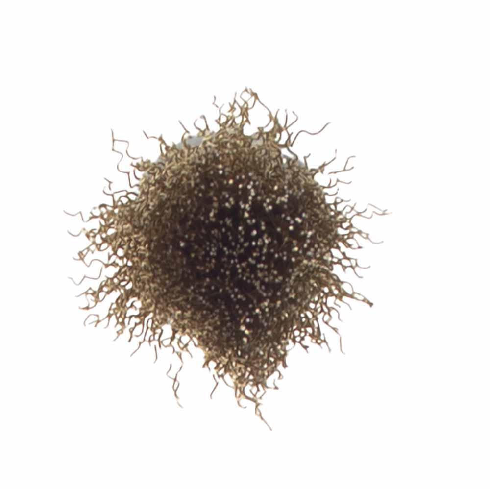 Коническая проволочная щетка Ø25 мм хвостовик Ø6 мм (латунированная) SIGMA (9017021) Ровно - изображение 3