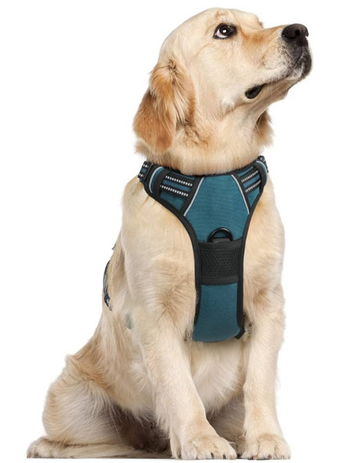 Нагрудний ремінець шлейка для собаки , груба 15516 Луцк - изображение 2