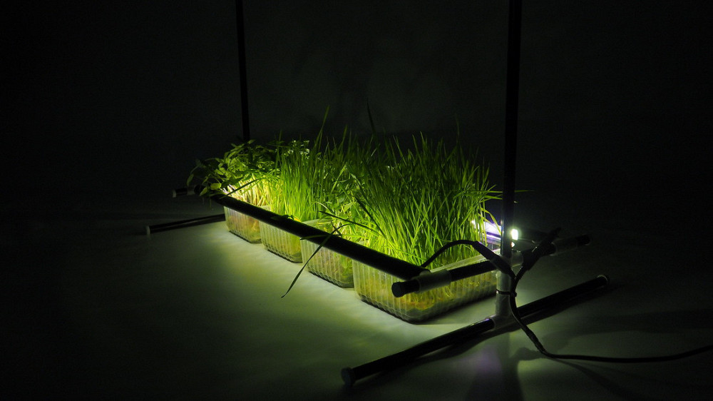 Система підсвічування для рослин Metaflex TwiLight Бориспіль - фото 2