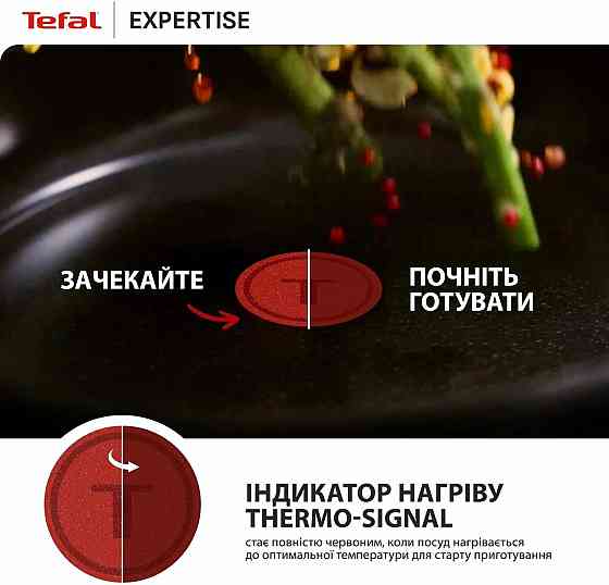 Сковорода Tefal Expertise 25 см (G3213832) ( 14842 ) Харків