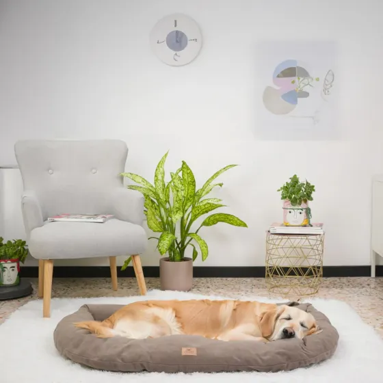 Лежак — подушка для собак і котів із мікрофлісу Ferplast Relax Microfleece (Ферпласт Релакс Мікрофліс) Запоріжжя