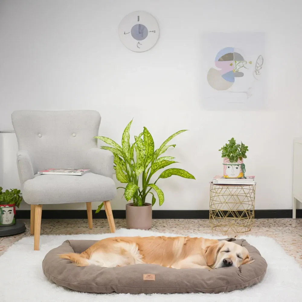 Лежак — подушка для собак і котів із мікрофлісу Ferplast Relax Microfleece (Ферпласт Релакс Мікрофліс) Запоріжжя - фото 4