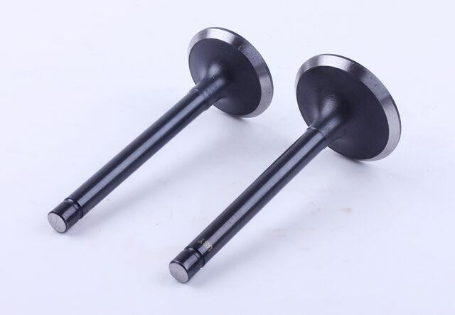 Клапаны, к-т: 2 шт. - GZ - 195N Мукачево - изображение 1