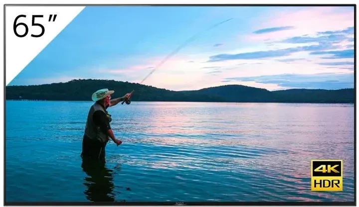 Монитор Sony  Fwd-65X95H/T 65 Bravia Киев - изображение 1